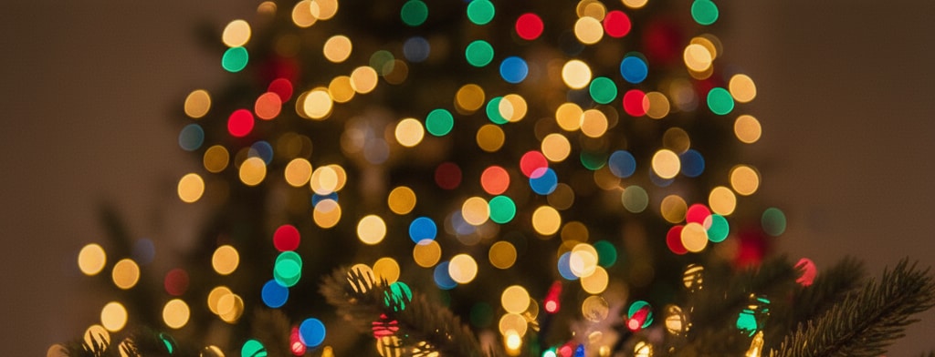 bokeh christmas lights San Francisco